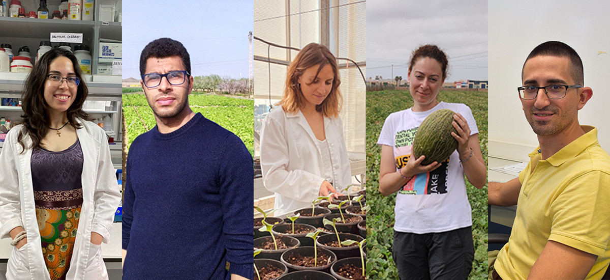 Premiados cinco doctorandos por sus presentaciones sobre cannabis medicinal, uva de mesa, asociación de cultivos, agentes biológicos y virus en cucurbitáceas